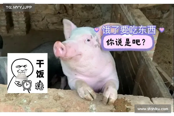 奥运赛场最艰难的挑战是什么 我饿了想赶紧回去吃饭 奥运赛场最艰难的挑战是什么 我饿了想赶紧回去吃饭